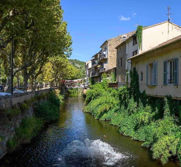 Le Pearl Appartement De Charme En Bord Riviere Collobrières المظهر الخارجي الصورة